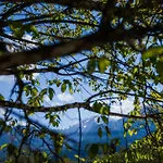 Waldklause * Schönau am Königssee