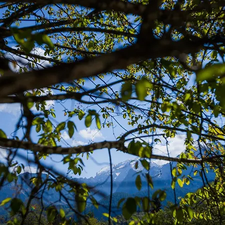 Waldklause * Schönau am Königssee