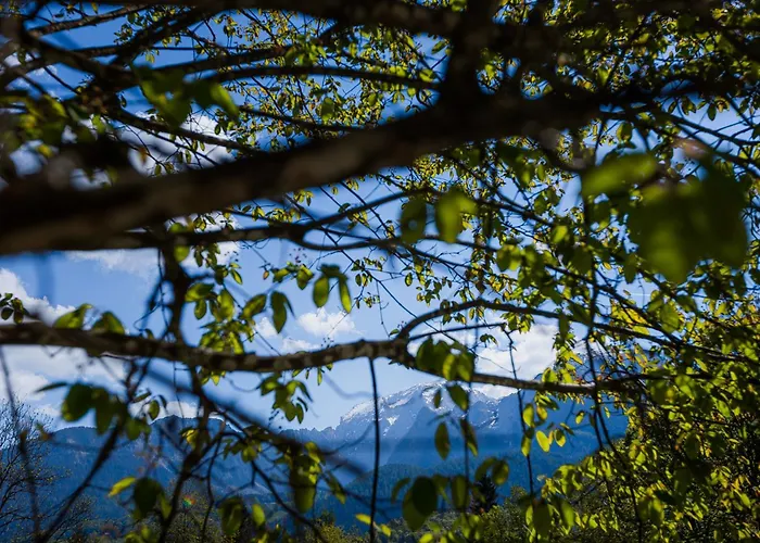 Waldklause * Schönau am Königssee